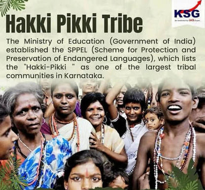 Adivasi Hakki Pikki Herbal Hair Oil